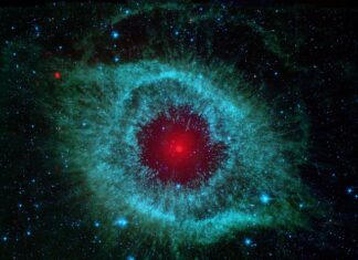 Jaka ostrzałka do noży Zwieger?